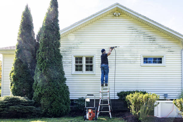 Best Roof Pressure Washing  in Bullard, TX